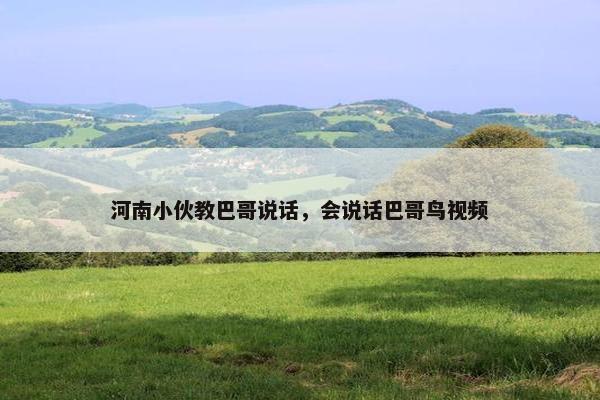 河南小伙教巴哥说话，会说话巴哥鸟视频