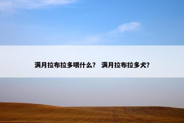 满月拉布拉多喂什么？ 满月拉布拉多犬？