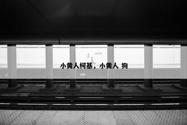 小黄人柯基，小黄人 狗