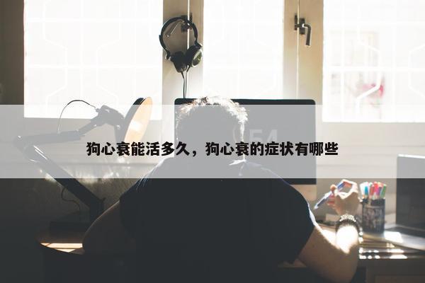 狗心衰能活多久，狗心衰的症状有哪些