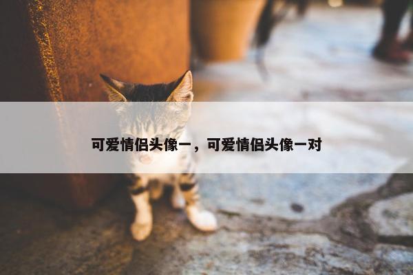 可爱情侣头像一，可爱情侣头像一对