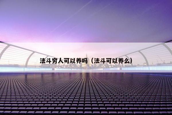 法斗穷人可以养吗（法斗可以养么）