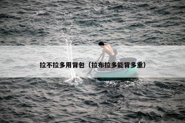 拉不拉多用背包（拉布拉多能背多重）