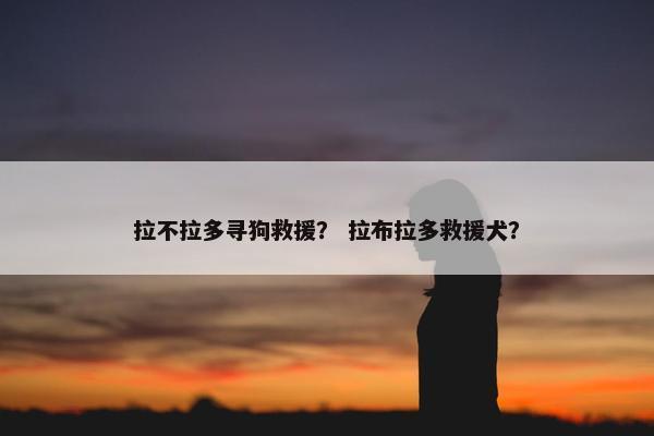 拉不拉多寻狗救援？ 拉布拉多救援犬？
