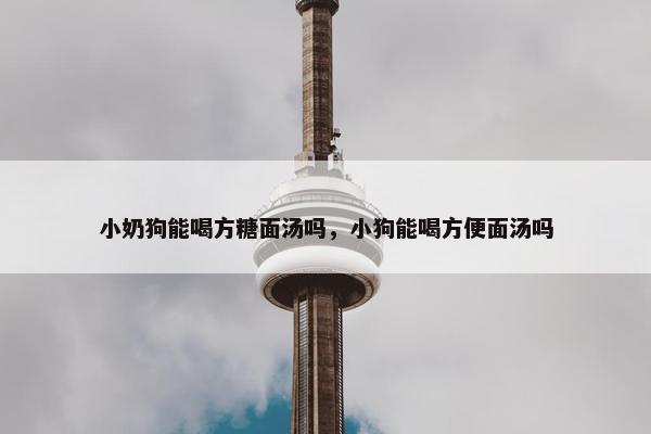 小奶狗能喝方糖面汤吗，小狗能喝方便面汤吗