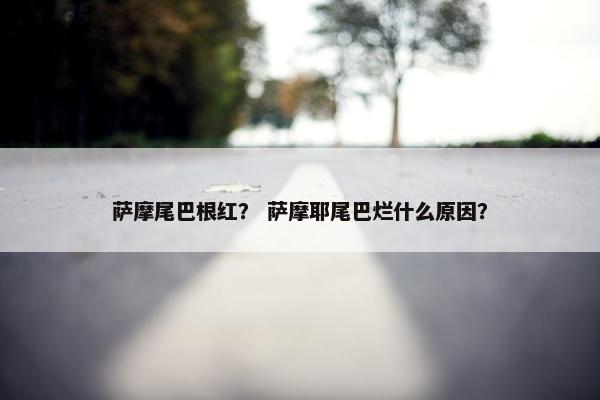 萨摩尾巴根红？ 萨摩耶尾巴烂什么原因？