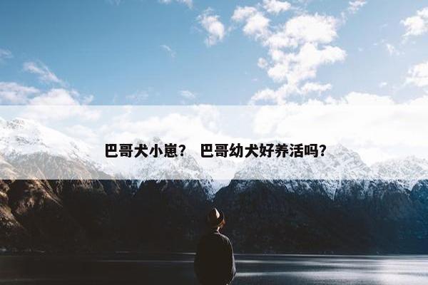 巴哥犬小崽？ 巴哥幼犬好养活吗？