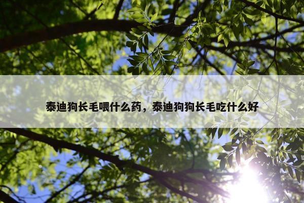 泰迪狗长毛喂什么药，泰迪狗狗长毛吃什么好
