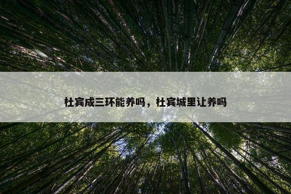 杜宾成三环能养吗，杜宾城里让养吗