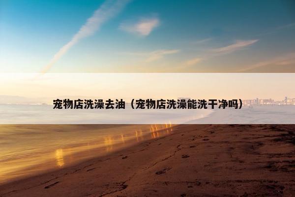 宠物店洗澡去油（宠物店洗澡能洗干净吗）
