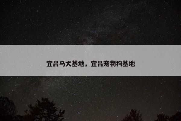 宜昌马犬基地，宜昌宠物狗基地