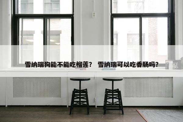雪纳瑞狗能不能吃榴莲？ 雪纳瑞可以吃香肠吗？