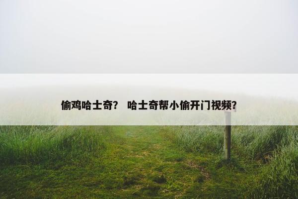 偷鸡哈士奇？ 哈士奇帮小偷开门视频？