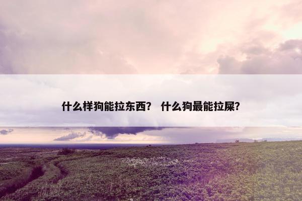 什么样狗能拉东西？ 什么狗最能拉屎？