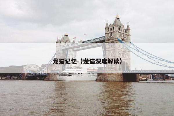 龙猫记忆（龙猫深度解读）