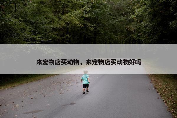 来宠物店买动物，来宠物店买动物好吗