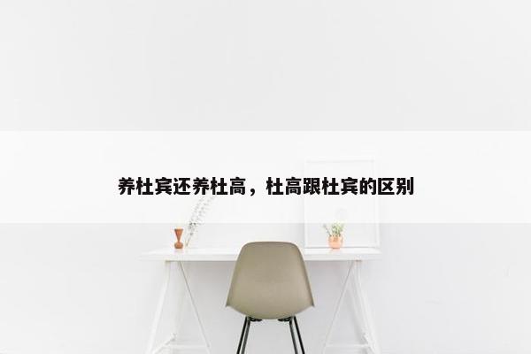 养杜宾还养杜高，杜高跟杜宾的区别