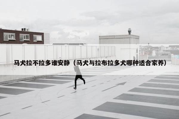 马犬拉不拉多谁安静（马犬与拉布拉多犬哪种适合家养）