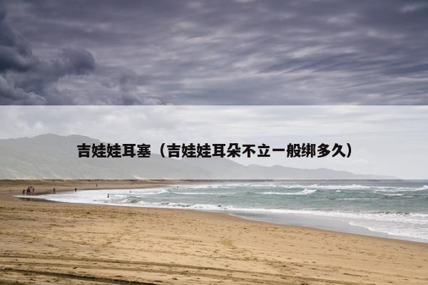 吉娃娃耳塞（吉娃娃耳朵不立一般绑多久）