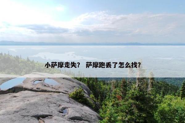 小萨摩走失？ 萨摩跑丢了怎么找？