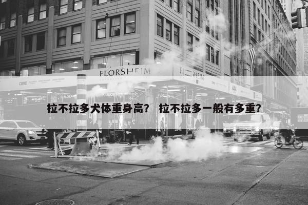 拉不拉多犬体重身高？ 拉不拉多一般有多重？