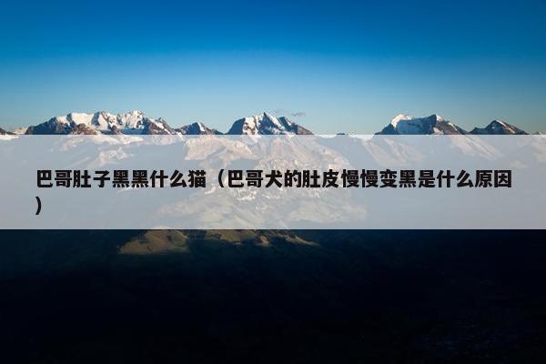 巴哥肚子黑黑什么猫（巴哥犬的肚皮慢慢变黑是什么原因）