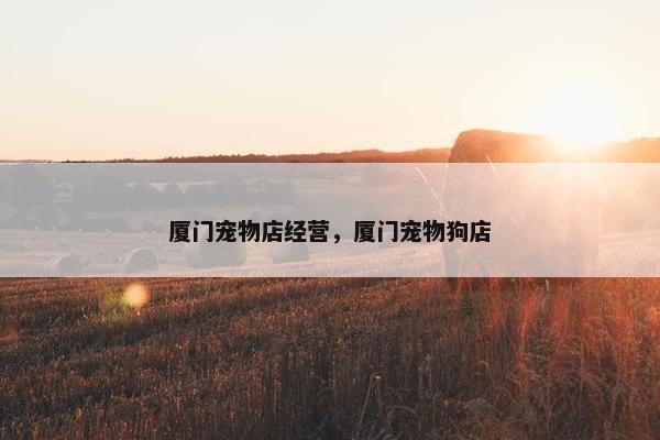 厦门宠物店经营，厦门宠物狗店
