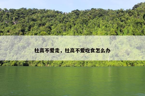 杜高不爱走，杜高不爱吃食怎么办