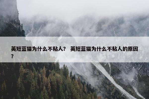 英短蓝猫为什么不粘人？ 英短蓝猫为什么不粘人的原因？
