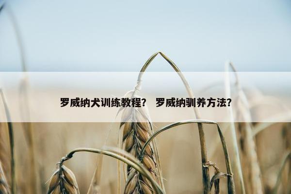 罗威纳犬训练教程？ 罗威纳驯养方法？