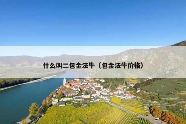什么叫二包金法牛（包金法牛价格）