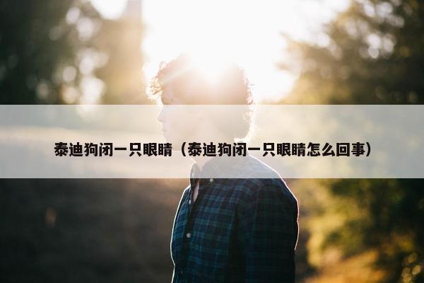 泰迪狗闭一只眼睛（泰迪狗闭一只眼睛怎么回事）