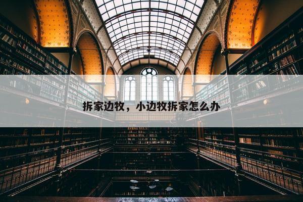 拆家边牧，小边牧拆家怎么办