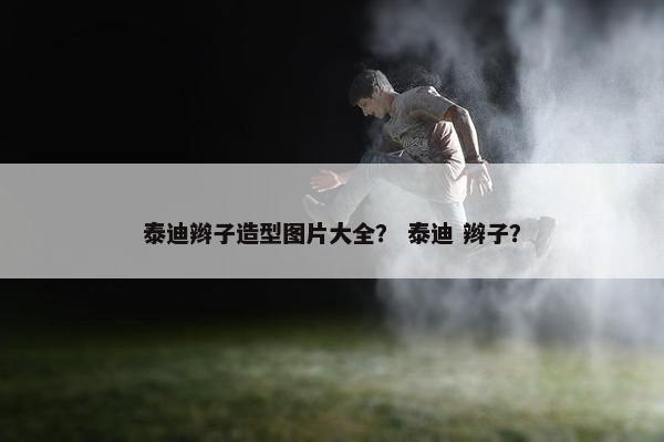 泰迪辫子造型图片大全？ 泰迪 辫子？