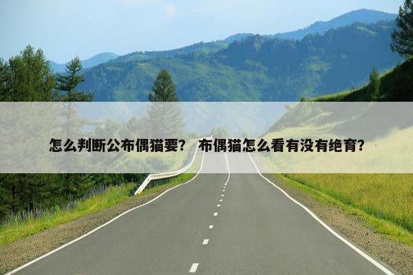 怎么判断公布偶猫要？ 布偶猫怎么看有没有绝育？