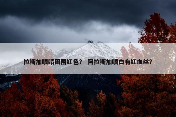 拉斯加眼睛周围红色? 阿拉斯加眼白有红血丝? 拉斯加眼睛周围红色? 阿拉斯加眼白有红血丝?