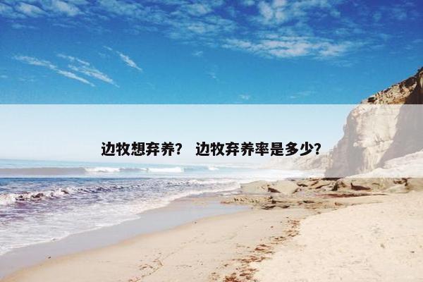 边牧想弃养？ 边牧弃养率是多少？