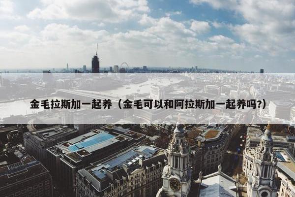 金毛拉斯加一起养（金毛可以和阿拉斯加一起养吗?）