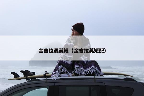 金吉拉混英短（金吉拉英短配）