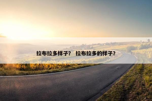 拉布拉多样子？ 拉布拉多的样子？