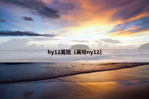 hy12英短（英短ny12）