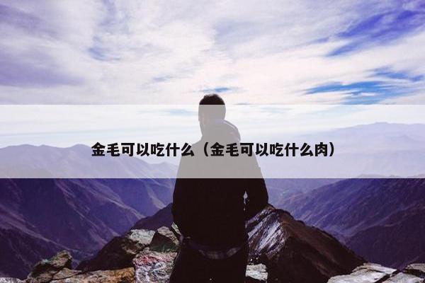 金毛可以吃什么（金毛可以吃什么肉）