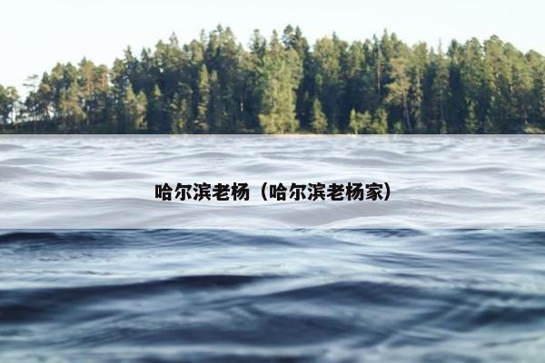 哈尔滨老杨（哈尔滨老杨家）
