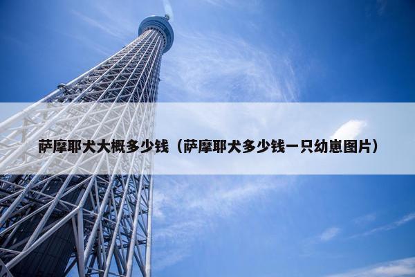 萨摩耶犬大概多少钱（萨摩耶犬多少钱一只幼崽图片）