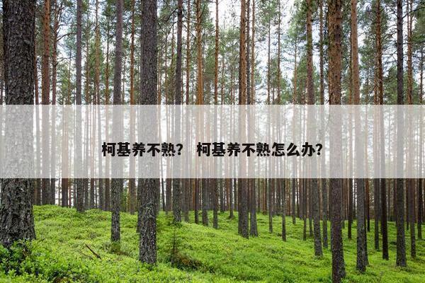 柯基养不熟？ 柯基养不熟怎么办？