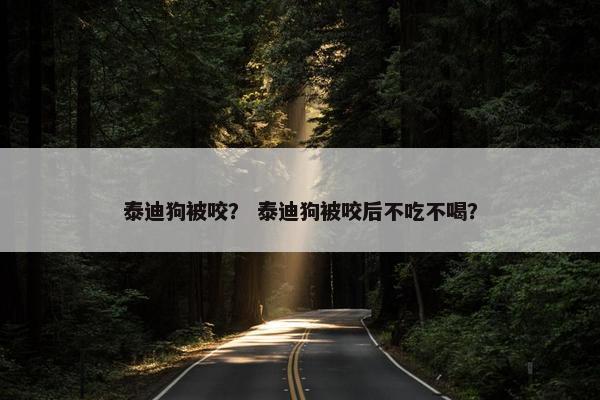 泰迪狗被咬？ 泰迪狗被咬后不吃不喝？