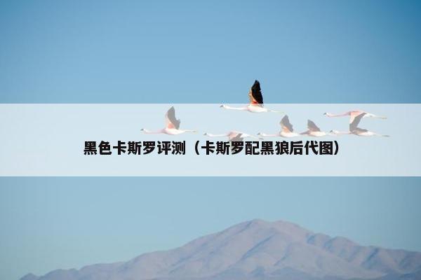 黑色卡斯罗评测（卡斯罗配黑狼后代图）