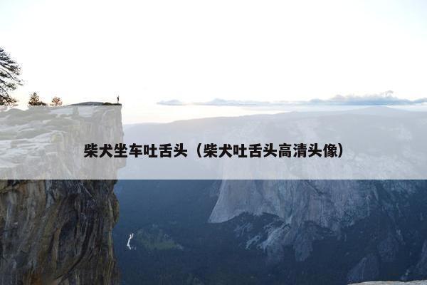 柴犬坐车吐舌头（柴犬吐舌头高清头像）