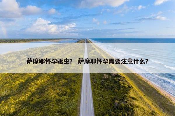 萨摩耶怀孕驱虫？ 萨摩耶怀孕需要注意什么？