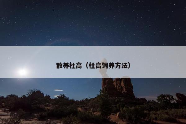 散养杜高（杜高饲养方法）